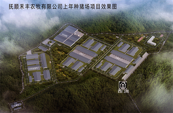 禾丰饲料加盟